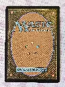 20251027_151322.webp